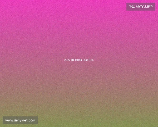 2022 新款Honda Lead 125